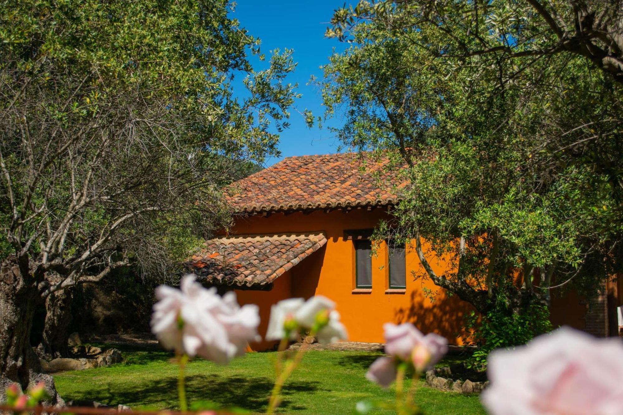 El Escondite De Pedro Malillo Candeleda Quarto foto